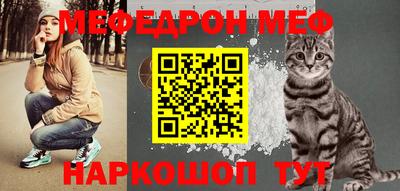 крисы Моздок