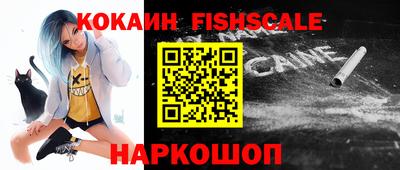 крисы Моздок