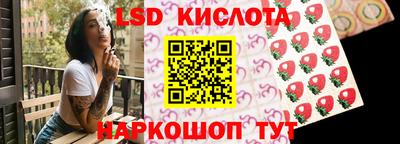 крисы Моздок