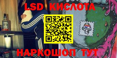 крисы Моздок