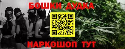 крисы Моздок