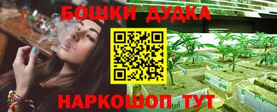 mdpv Можга