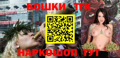 крисы Моздок