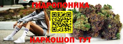 mdpv Можга