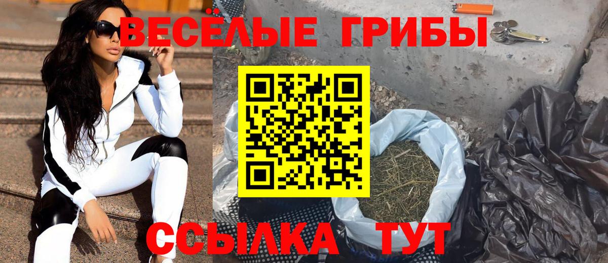 Псилоцибиновые грибы мухоморы Таганрог